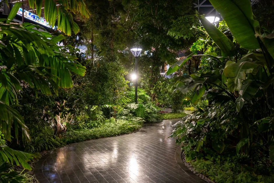 Doha Aeropuerto - Garden, Qatar