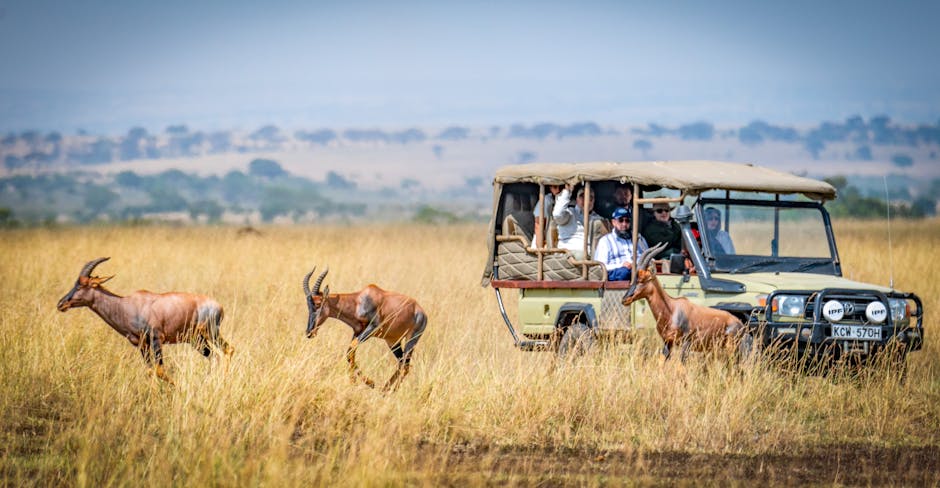 Smartphone safari Kenya — activation eSIM et zones sans réseau