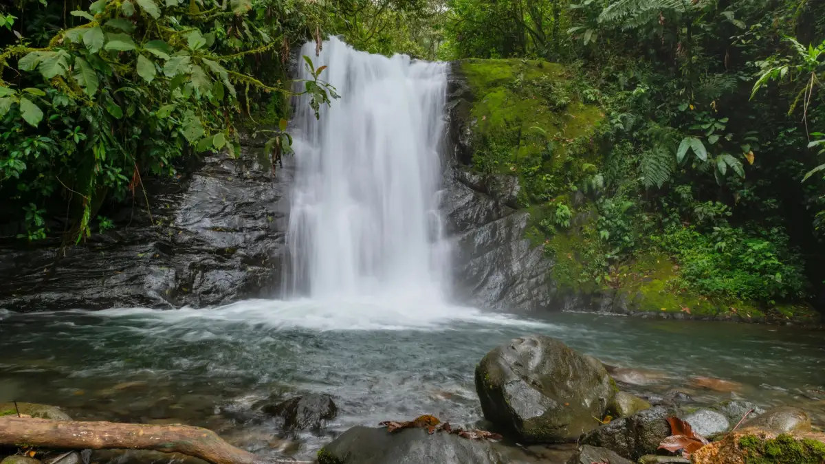Cuántos GB para Costa Rica: consumo de datos